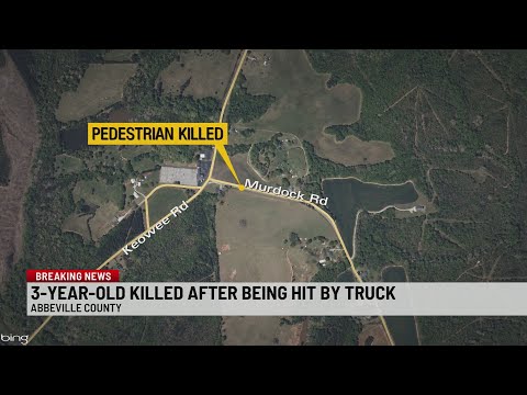 3-year-old dies after hit by pickup truck in driveway in Abbeville Co.