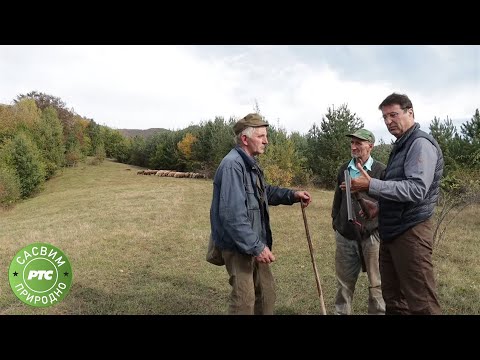 Sasvim prirodno: Stara Planina Timok Zaglavak, 2. deo
