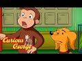 Scaredy Dog Curious George FULL EPISODE Kids Cartoon Videos For Kids