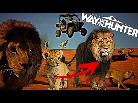 Way of The Hunter Life Cycle | How to grow your animals