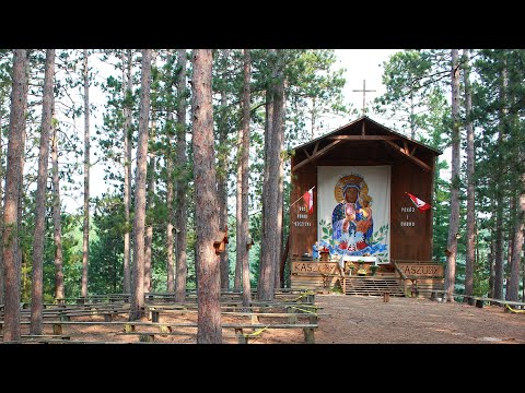 Czuwaj! Harcerze w akcji