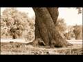 Christopher Cross - When She Smiles