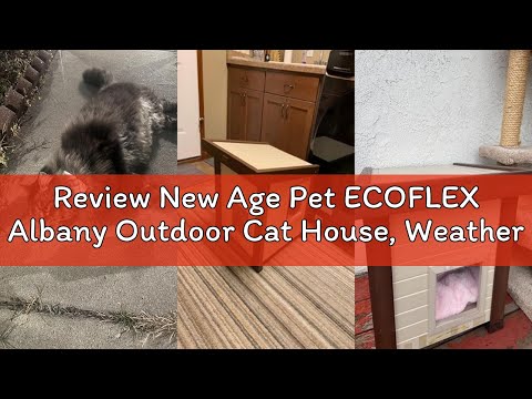 Review New Age Pet ECOFLEX Albany Outdoor Cat House, Weather‑Resistant, Dual Door Flaps, 21" W x 20"