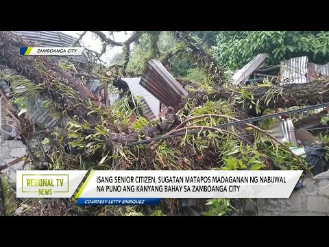 Regional TV News: Isang senior citizen, sugatan matapos madaganan ng puno sa Zamboanga City