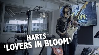 Harts - &#39;Lovers In Bloom&#39; live @ Ekdom In De Ochtend