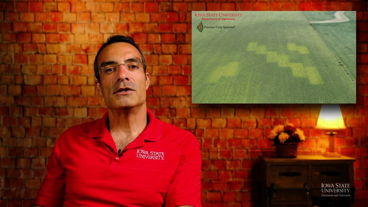 Nitrous Oxide Emissions with Mike Castellano (Extended Version)