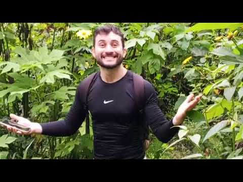 Esse passeio no Ceará tem história, natureza e um dos lugares mais incríveis de Pacoti