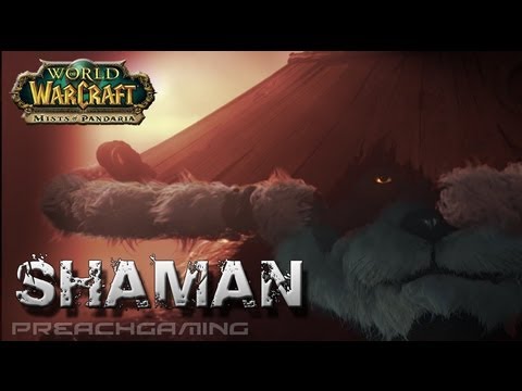 Elemental Shaman Basic DPS Guide