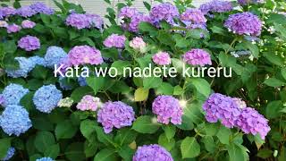 Watashi Dake No Tenshi by Matsuda Seiko with Lyrics cover song | pau the wanderer