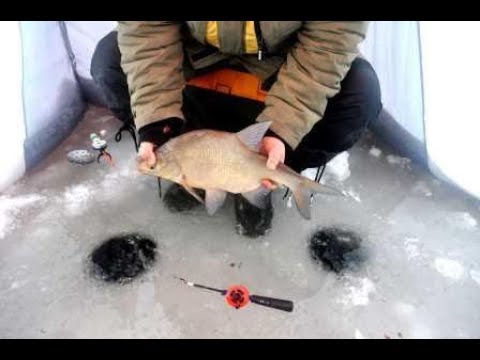 Электронная зимняя удочка Корша