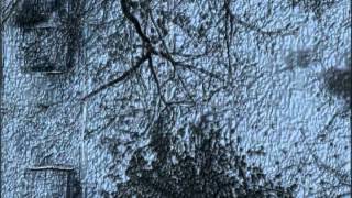 Bad Days by Moby (fan made video)