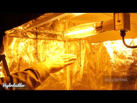 LED vs HID lighting for indoor growing - Which do you prefer?