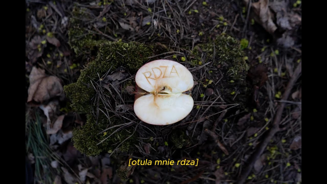 Irys prezentuje „rdzę” – utwór, który przecina na pół