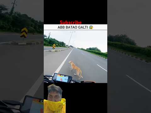 𝗣𝗿𝗮𝘆 𝗙𝗼𝗿 𝗗𝗼𝗴 🐶😰 𝗠𝗼𝘁𝗼𝘃𝗹𝗼𝗴𝘀 #shorts #cow #motovlog #motovlog