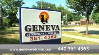 preview picture of video 'Welcome to Geneva Veterinary Clinic - Video'