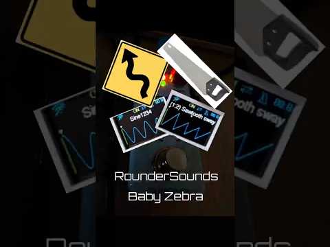RounderSounds Baby Zebra image 6
