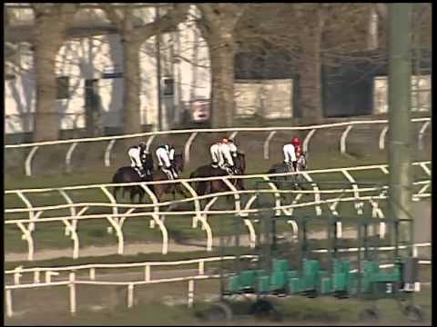 Galoppo 16/01/2015 - 1° corsa