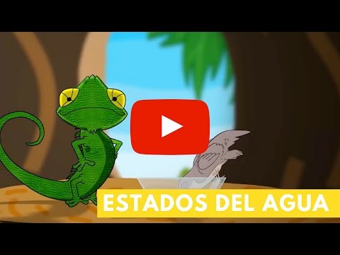Estados del agua | Camaleón