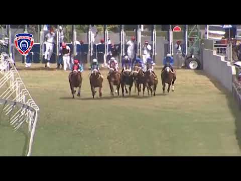 RM30 R4 - Wavebreaker