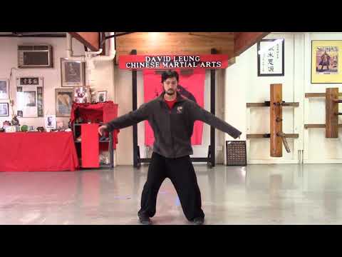 Yang Tai Chi Elbow Connection