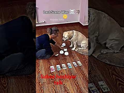 sabse hoshiyar aur talent dog 🐶🐕 #funny 🐕🐕🐶 #comedy #aesthetic ka #nivedya #funnymoment #funnyface