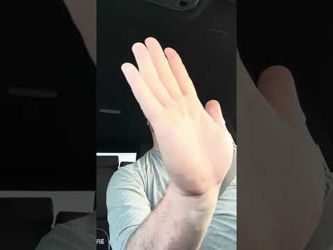 Ethan Ross, Magnolia Park, and PLVTINUM - Animal reaction