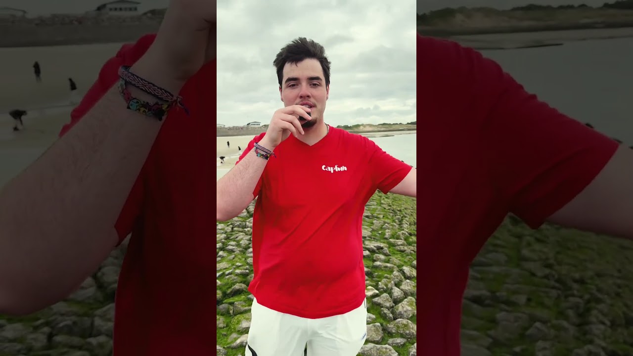 Des phoques en libert� � deux pas de tes vacances !