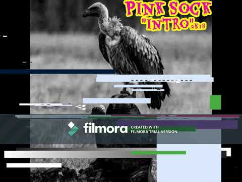 Pink Sock Intro Demo