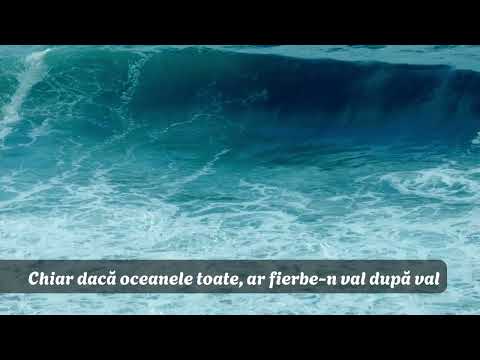 Chiar daca oceanele toate - Timis Paul (Cover)