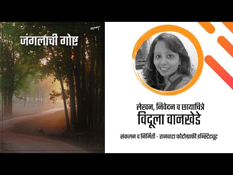 जंगलाची गोष्ट | विदुला वानखेडे | Vidula Wankhede |फोटोंची गोष्ट ०८