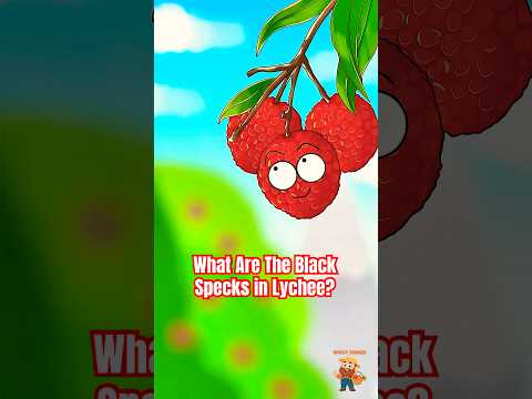 What Are The Black Specks in Your Lychee? #lychee #animation