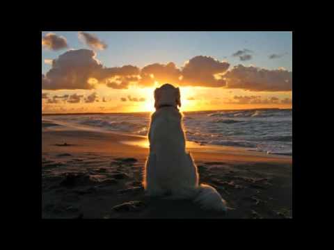 Leb I Sol - Ajde Sonce Zajde