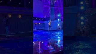 Royal Caribbean Aqua Shows are CRAZY! #shorts ￼