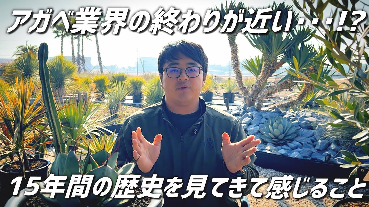 【アガベ業界】15年前から今後まで感じる事を素直に語ってみた。