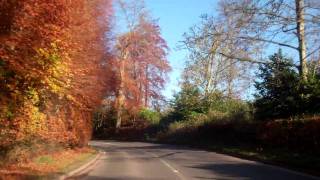 preview picture of video 'Meikleour Beech Hedge Perthshire Scotland'