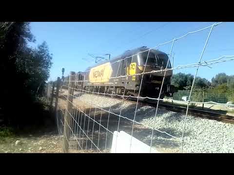 mercadorias da Medway