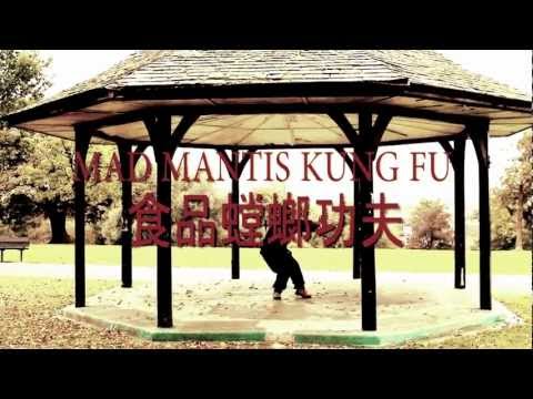 MAD MANTIS KUNG FU Wise Men Project Cosmic Warrio