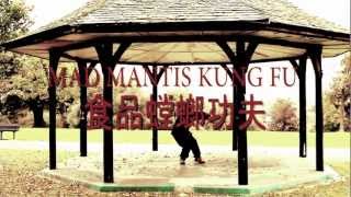 MAD MANTIS KUNG FU Wise Men Project Cosmic Warrio