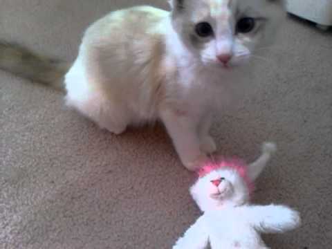 Udai and jodhi's new lovey