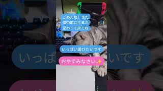 # #猫のいる暮らし #猫#cat