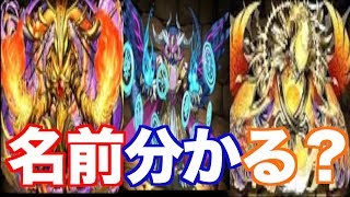 [フラッシュ暗算] 名前分かるかな...?  [パズドラ]