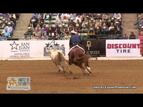 That Cats On Fire ridden by Chris Dawson  - 2016 NRCHA Snaffle Bit Futurity (Cow-FINALS)