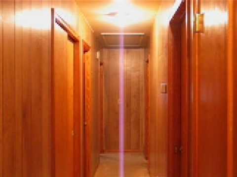 The Rising Shadows #1