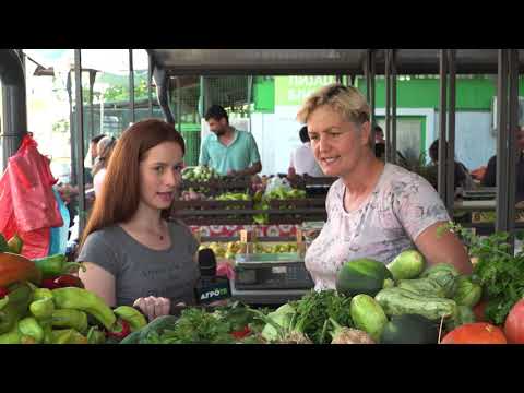 Ceger ep. 376 12.09.2020.