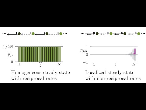 Aleksandra Nelson (Non-reciprocity permits edge localization in stochastic topological systems)