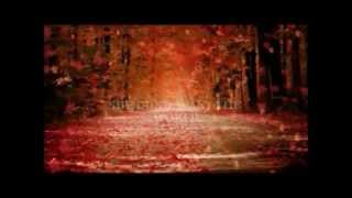 She Don&#39;t Want The World ~ 3 Doors Down (Lyrics on screen)