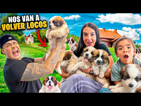 24 hours of being puppy parents🐶 THIS HAPPENED!😱