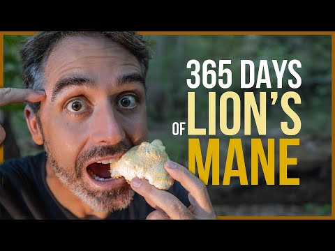 Unlocking the Secrets of Lion's Mane Mushrooms! The Science Explained...
