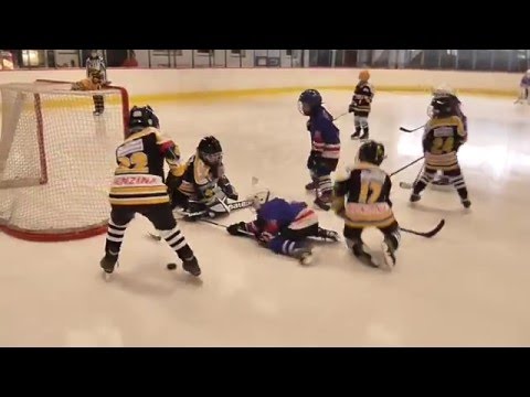 7.2.2016  Slovan - Verva Litvínov  1.třet. (19:6)