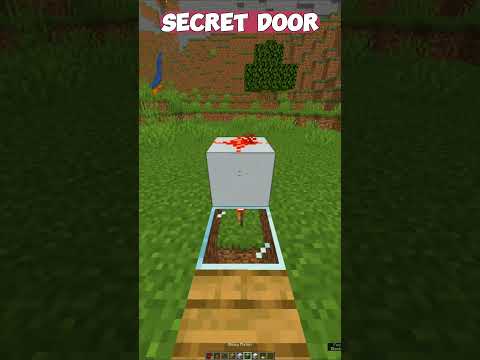 PlayMasterTV - Minecraft Secret Door #shorts